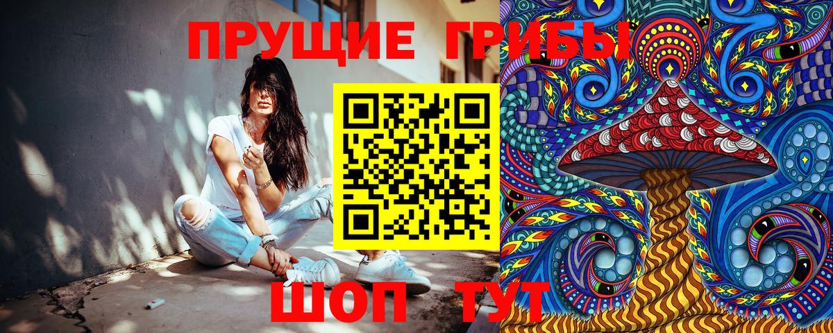Серов  Псилоцибиновые грибы Psilocybine cubensis  Псилоцибиновые грибы мухоморы  Вход с VPN 